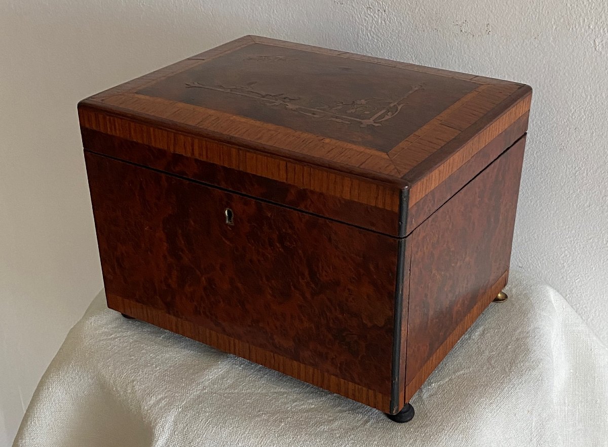 19th-century Marquetry Cigar Cabinet Or Box With 4 Shelves-photo-2