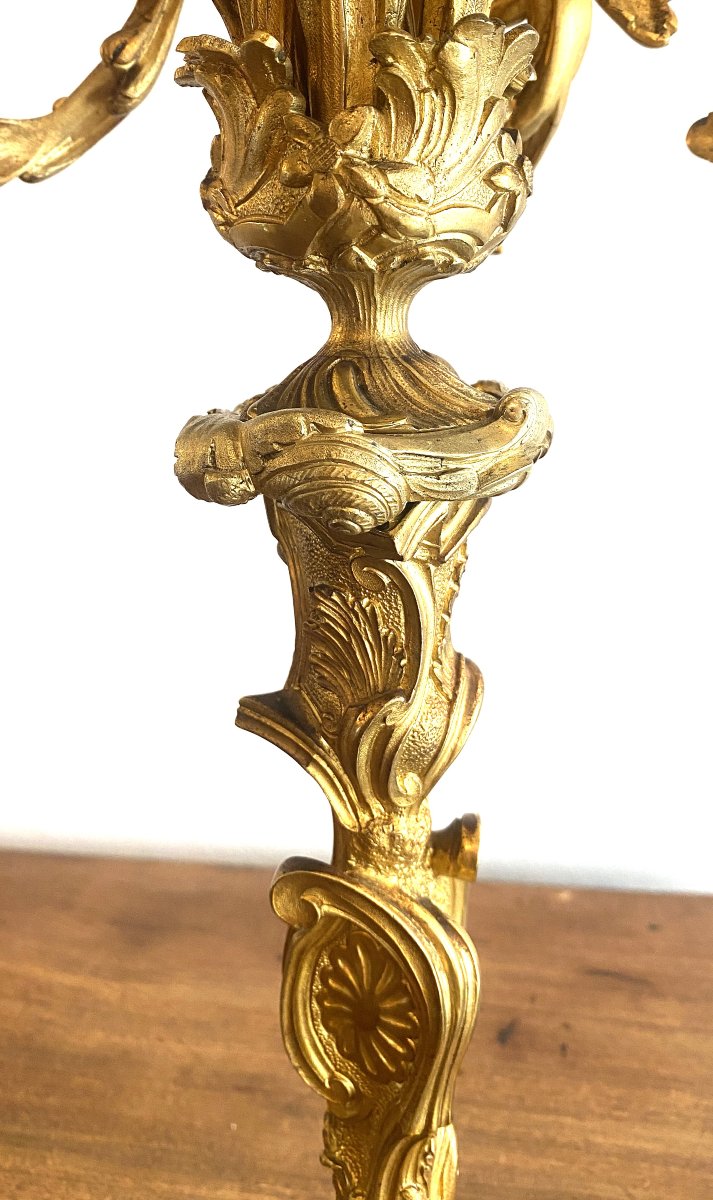 Grande Paire de candélabres Style Louis XV Rocaille en bronze Doré et ciselé   XIX ème-photo-4