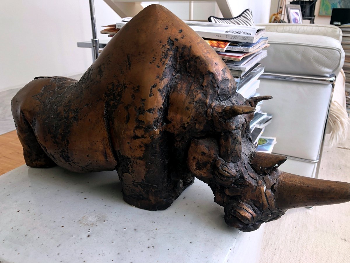 Rare Bronze Animalier De Wieslaw Napierala-photo-3