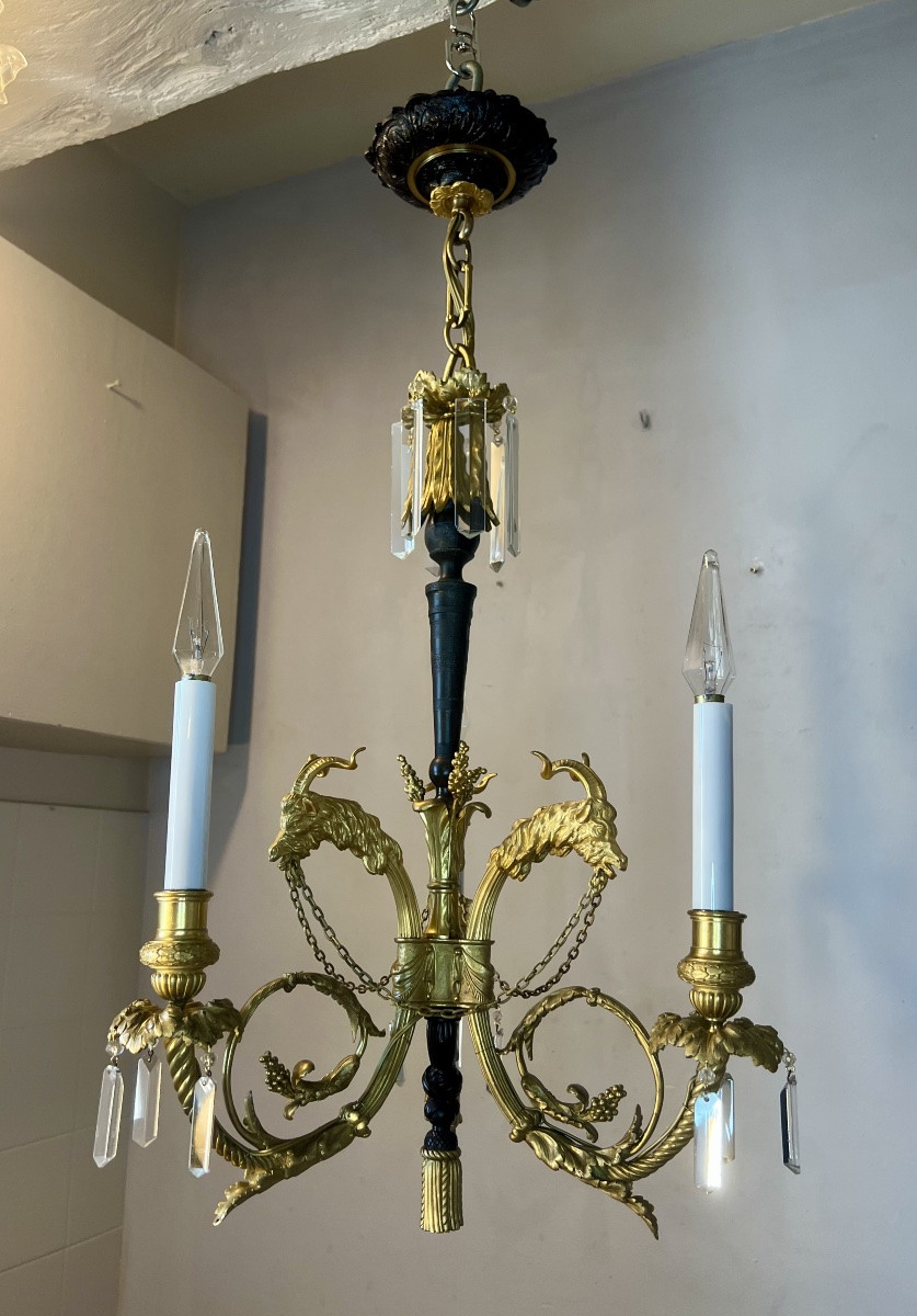 Chandelier With Goat Heads-photo-2