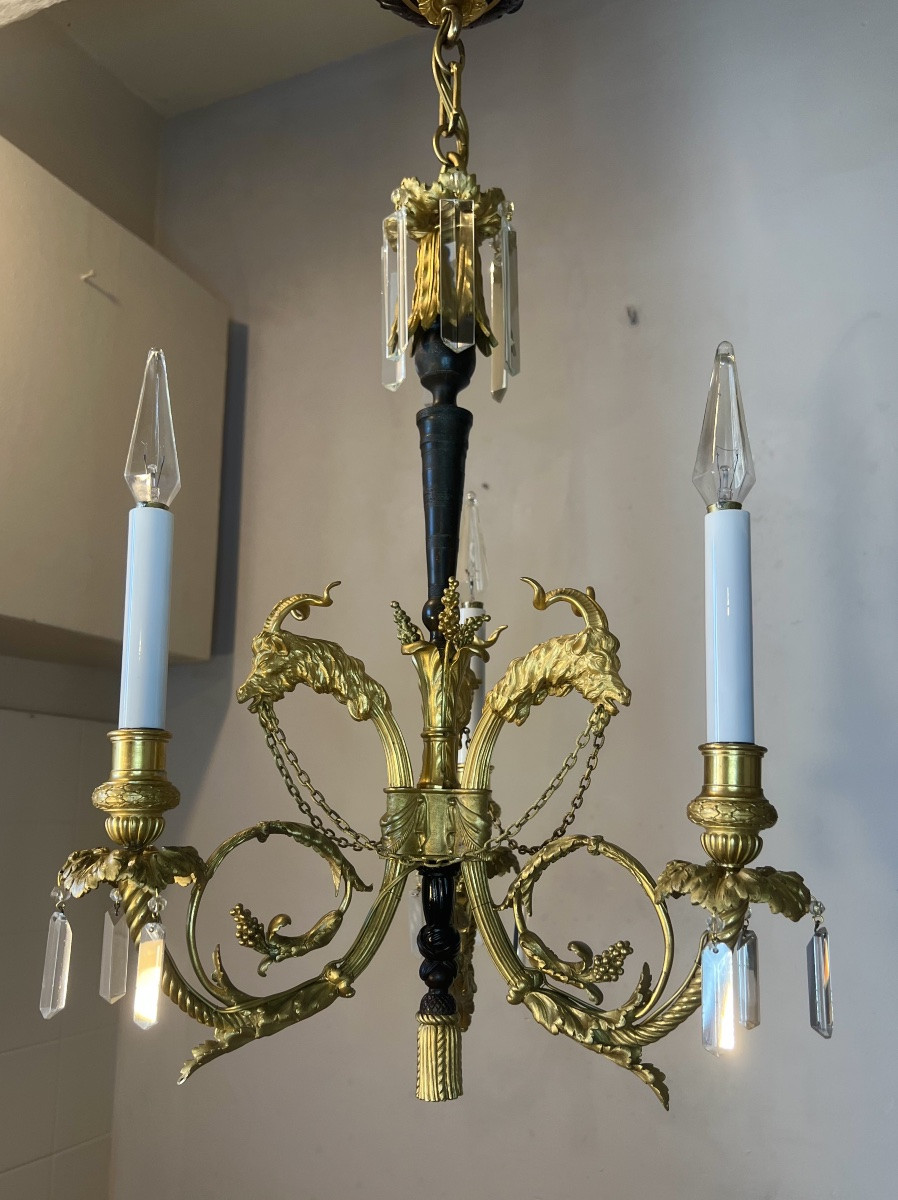 Chandelier With Goat Heads-photo-3
