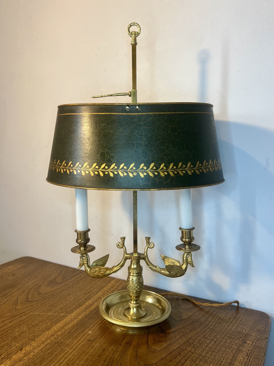Lampe bouillotte cygnes -photo-3
