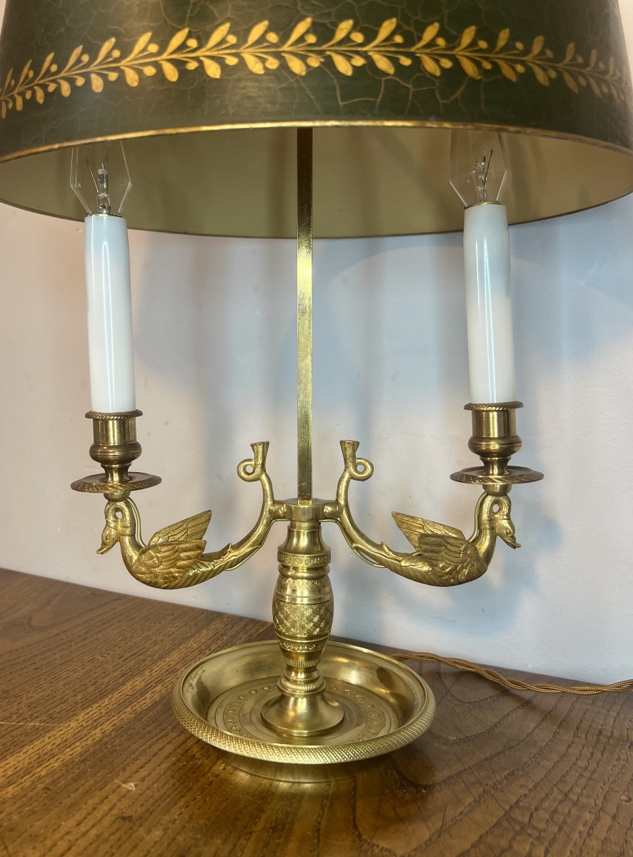 Lampe bouillotte cygnes -photo-3