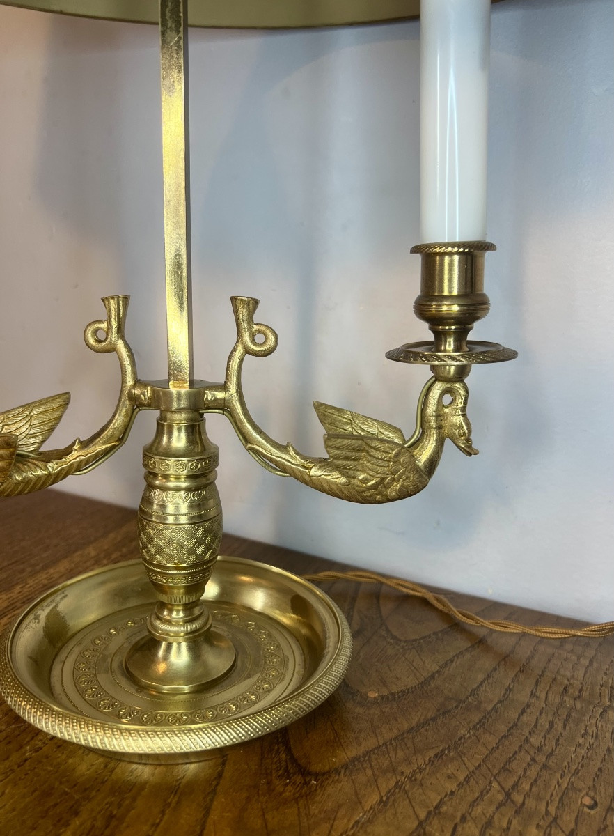 Lampe bouillotte cygnes -photo-5