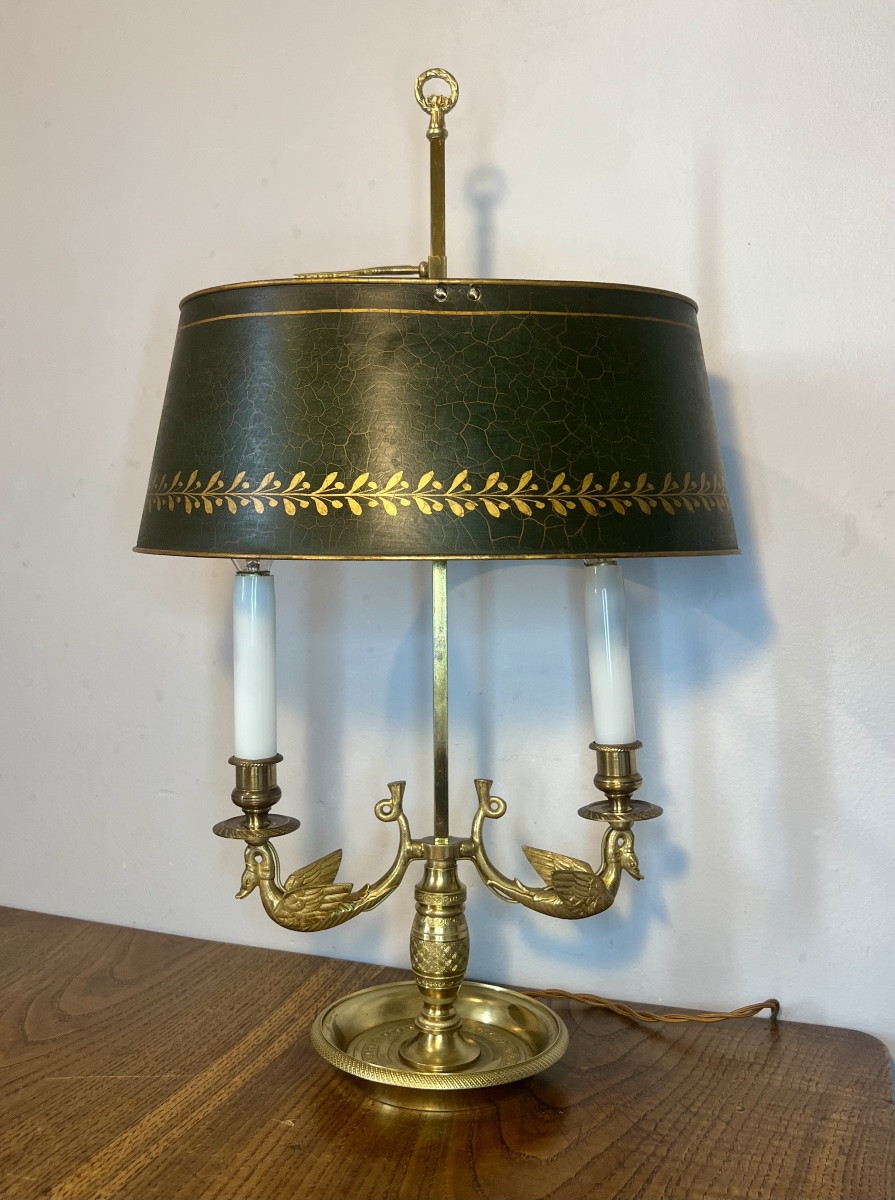 Lampe bouillotte cygnes -photo-6