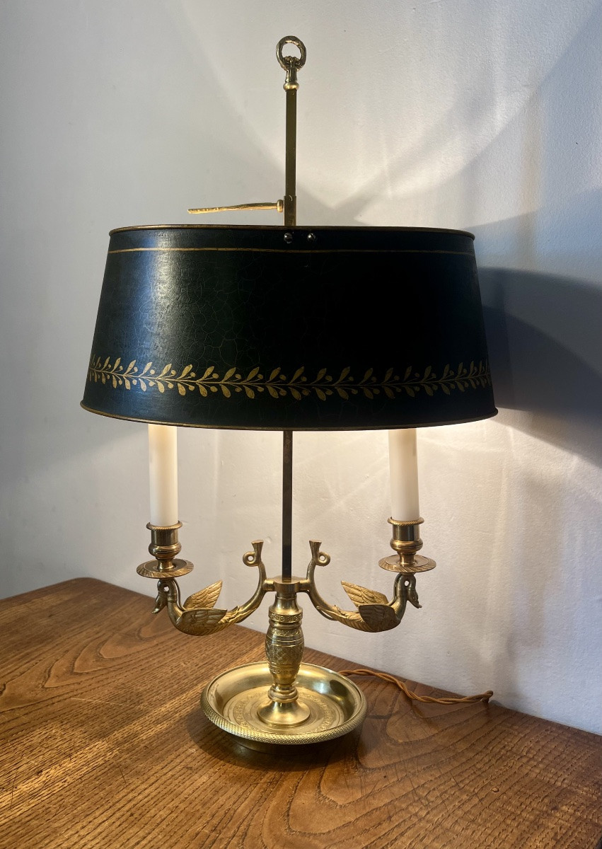 Lampe bouillotte cygnes -photo-8