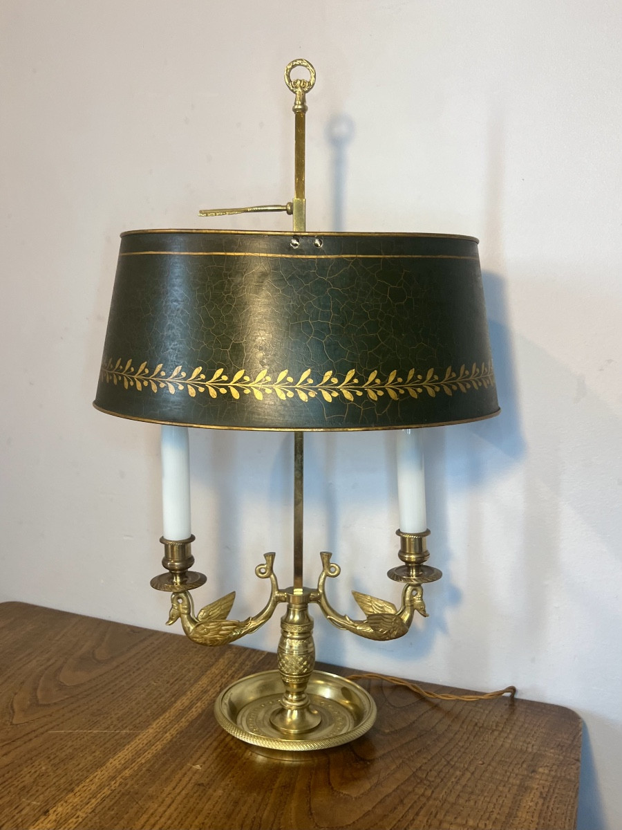 Lampe bouillotte cygnes 