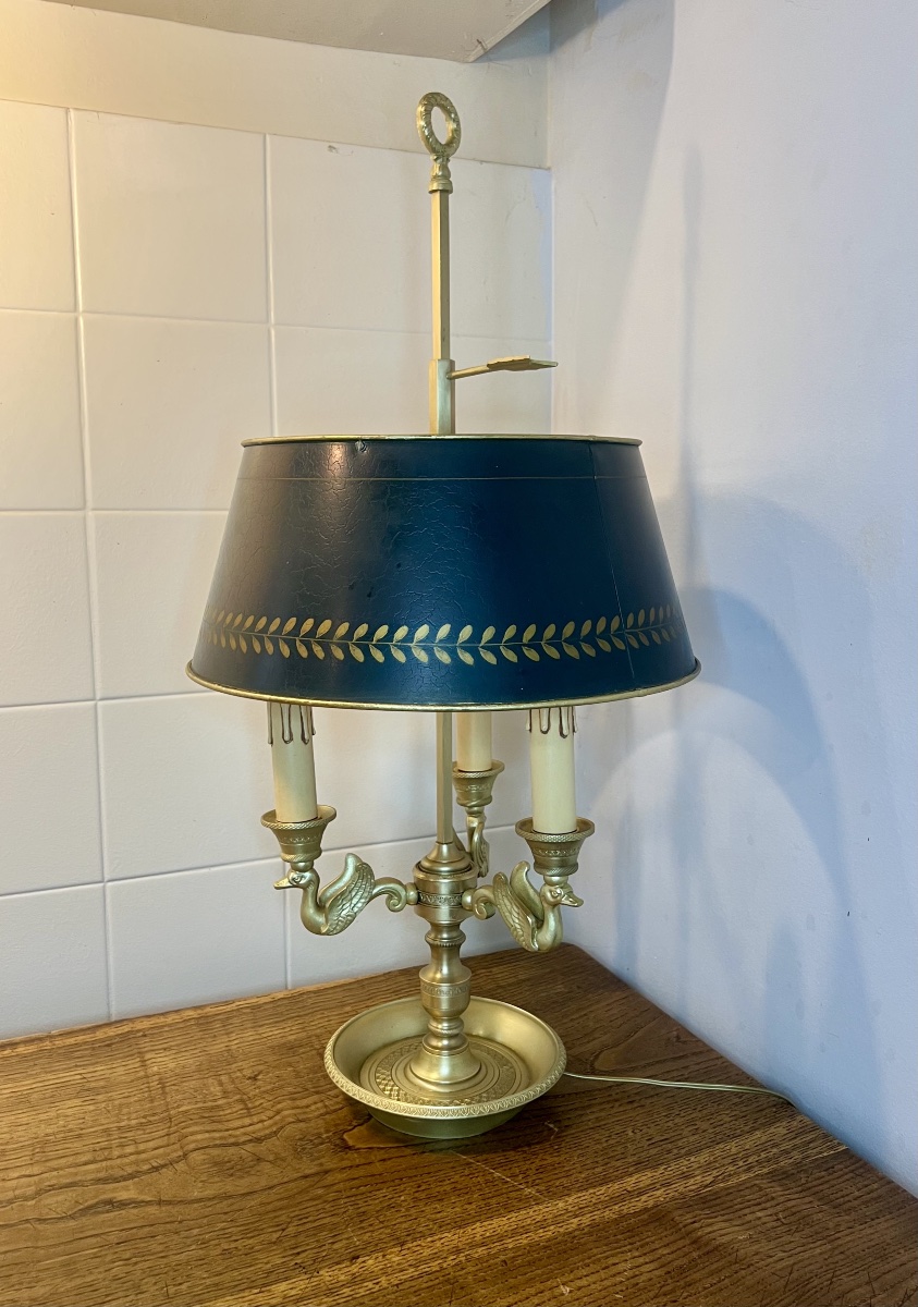 Lampe bouillotte cygnes -photo-2