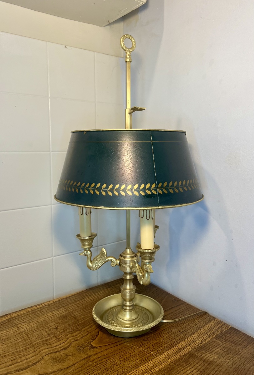 Lampe bouillotte cygnes -photo-4