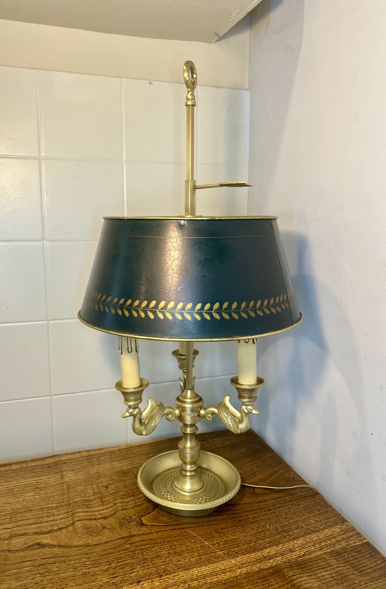 Lampe bouillotte cygnes -photo-1
