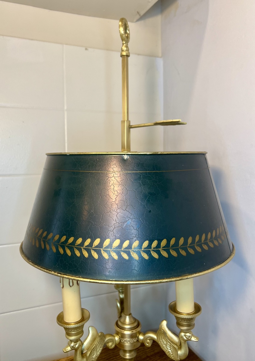 Lampe bouillotte cygnes -photo-2