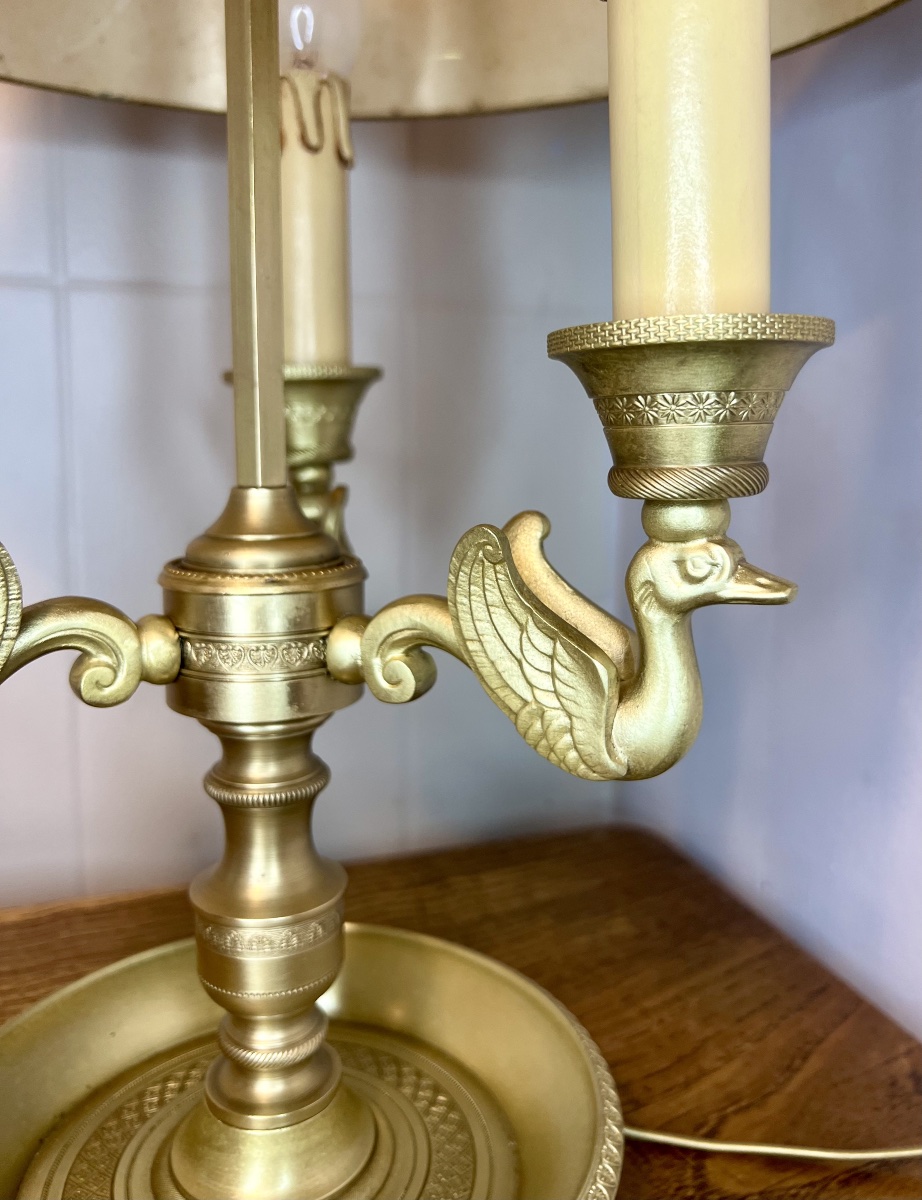 Lampe bouillotte cygnes -photo-4