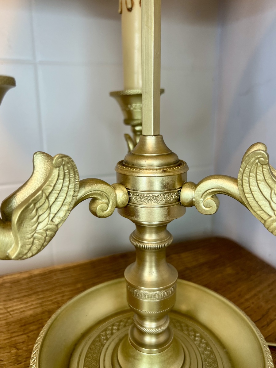 Lampe bouillotte cygnes -photo-5