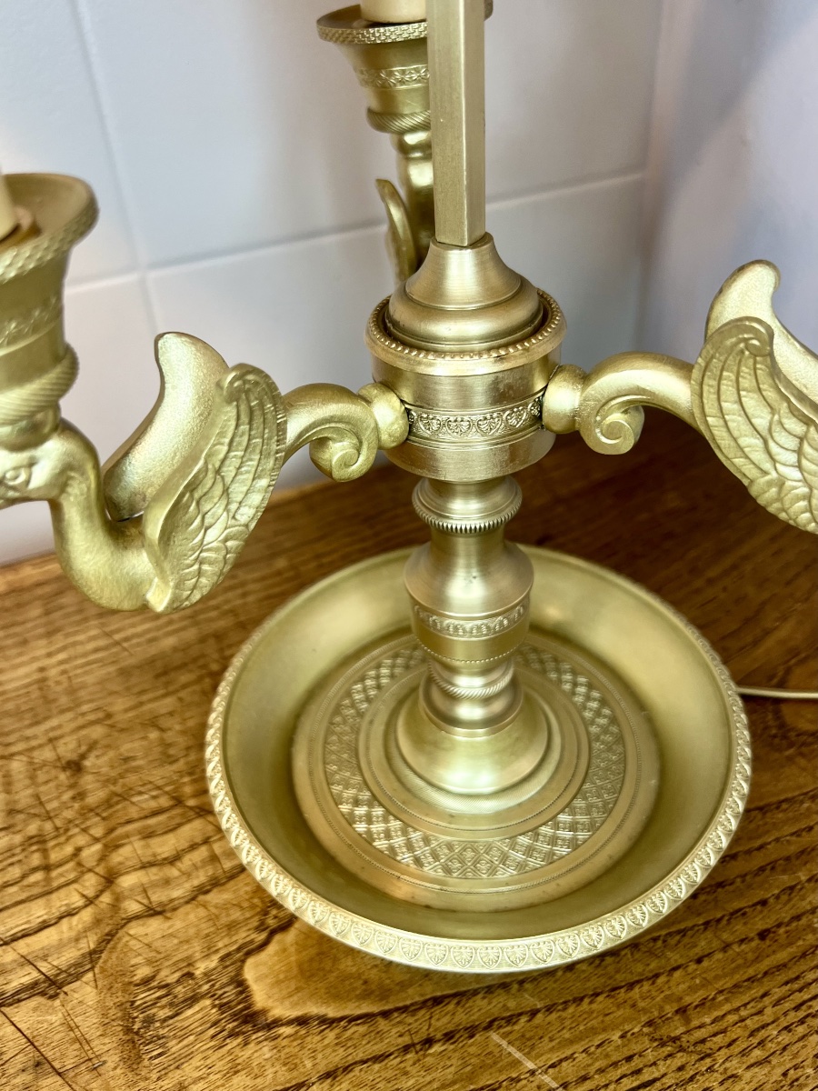 Lampe bouillotte cygnes -photo-6