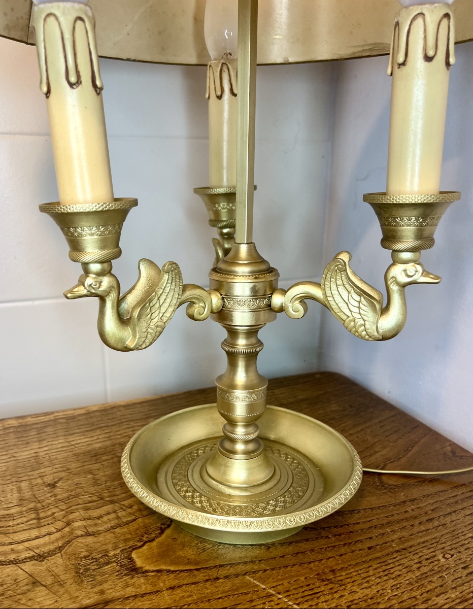 Lampe bouillotte cygnes -photo-7