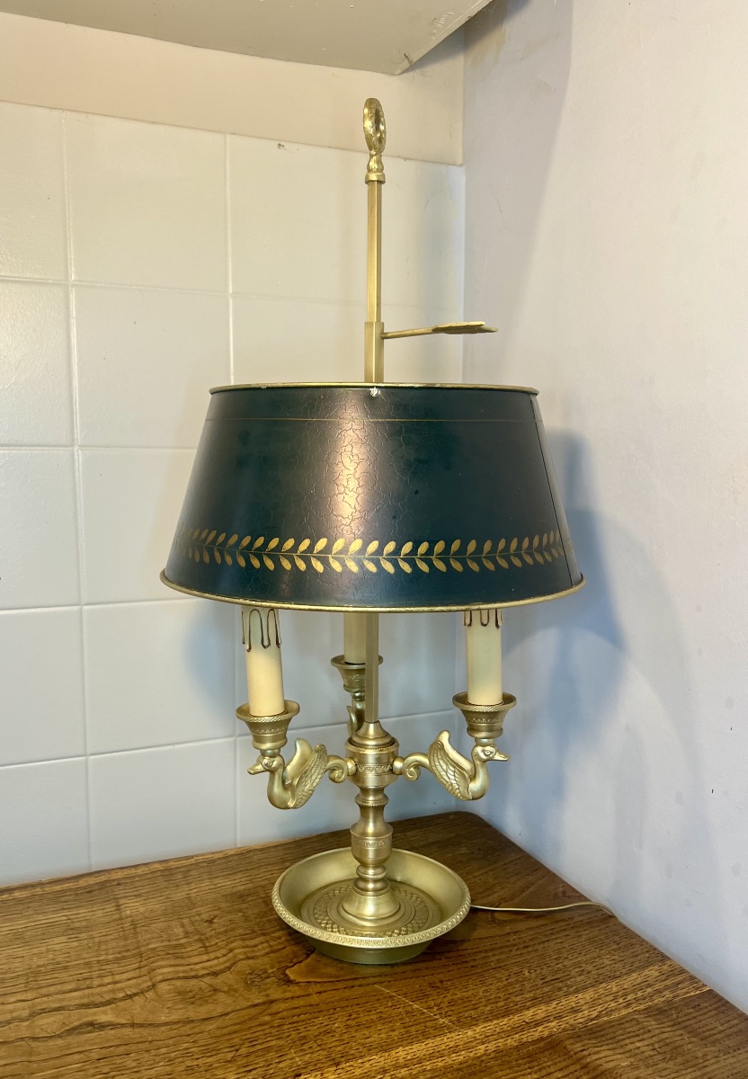 Lampe bouillotte cygnes -photo-8