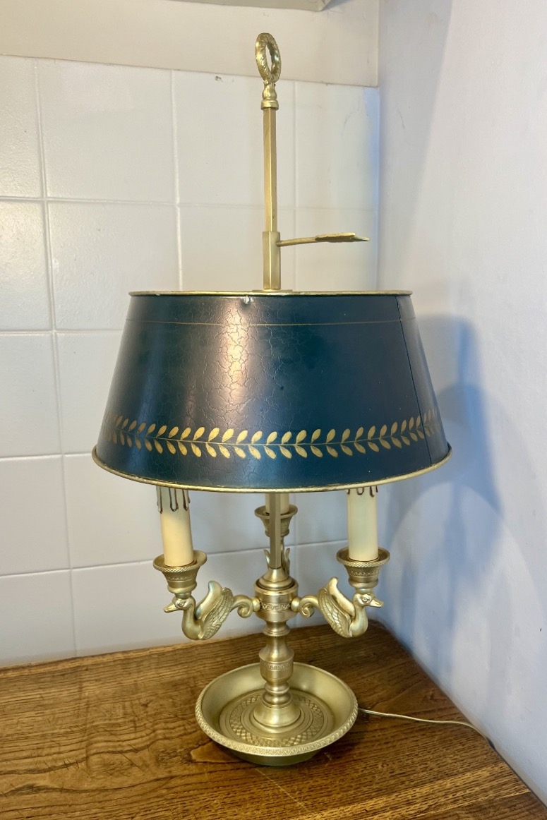 Lampe bouillotte cygnes 
