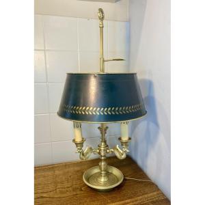 Swan Hot Water Bottle Lamp