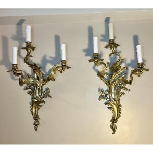 Grande paire d’appliques rocaille style Louis XV 3 lumières