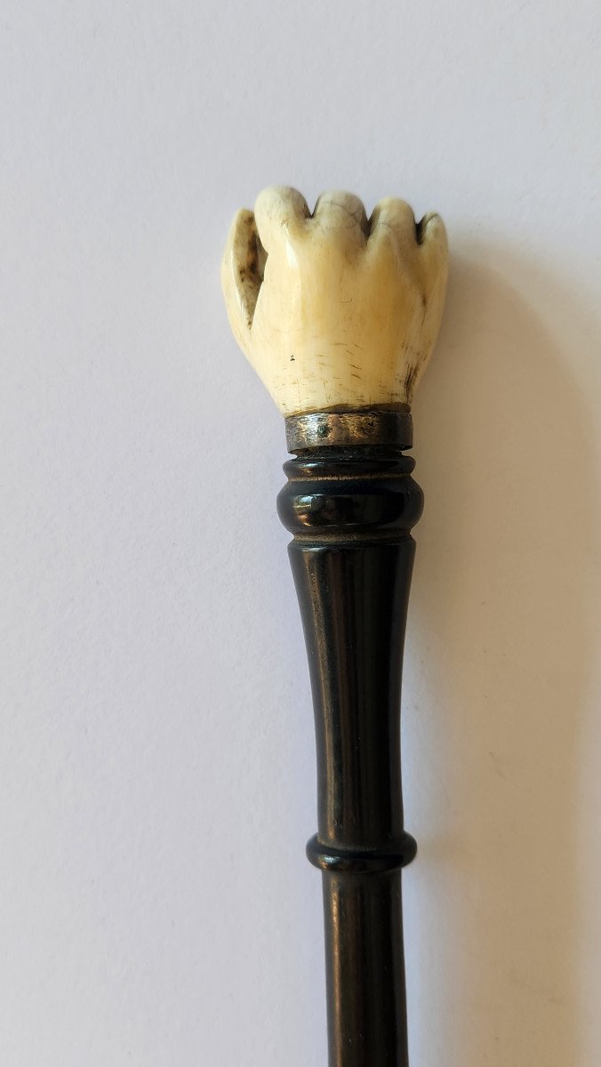Object Of Curiosity: A Closed Hand In Ivory On A Blackened Boxwood Handle-photo-2