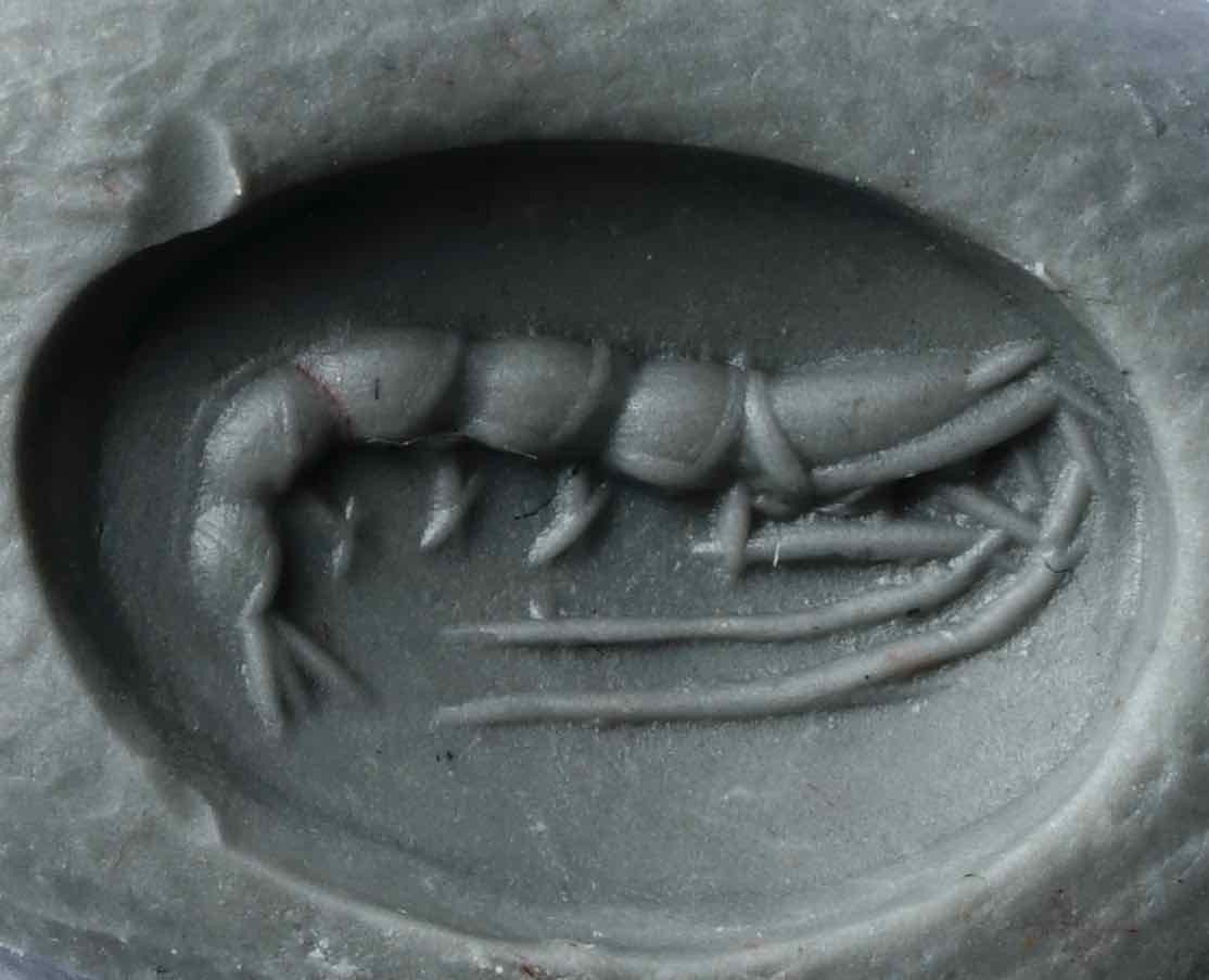 Intaille Romaine en cornaline : une Crevette-photo-2