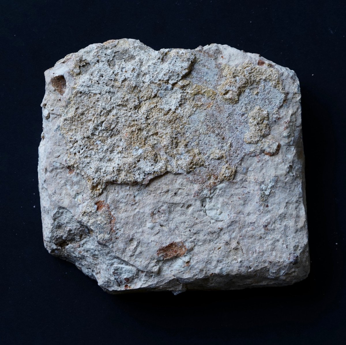 Renaissance Terracotta Paving Tile With Coat Of Arms-photo-2