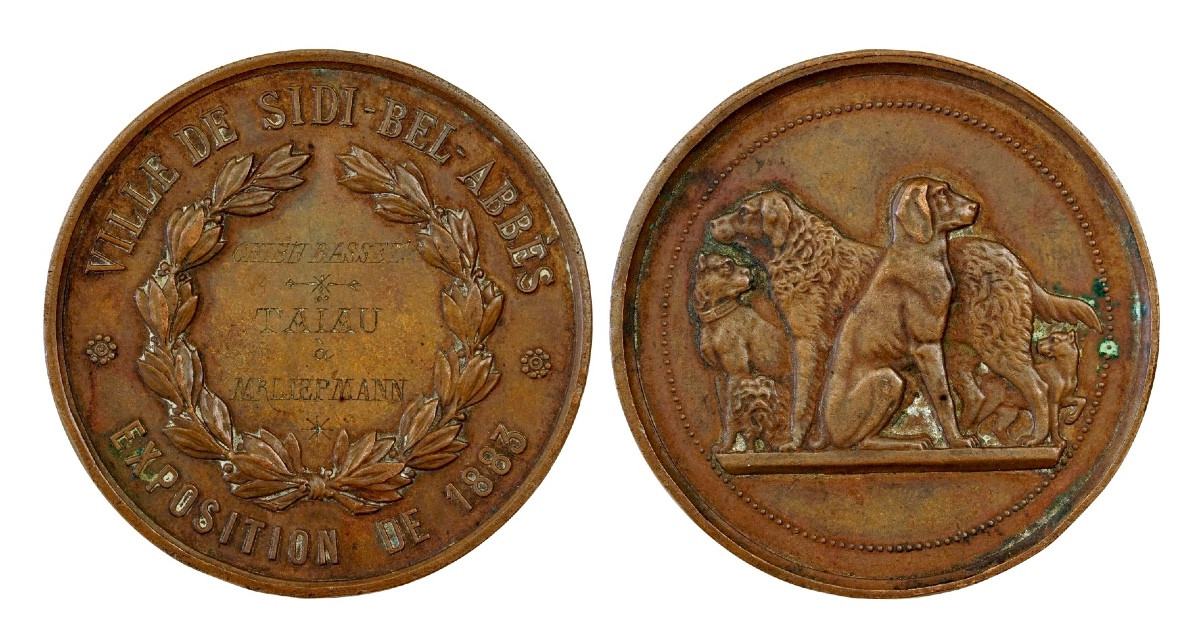 Médaille Sidi-Bel-Abbès ALGÉRIE  pour l’exposition canine 1883  : chien Basset