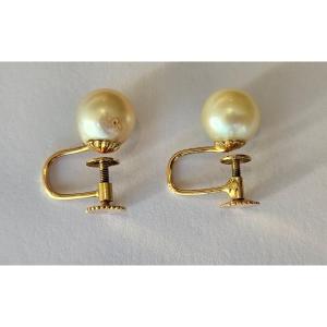 Gold Earrings And Pearls For Non-pierced Ears