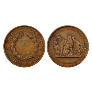 Sidi-bel-abbès Algeria Medal For The 1883 Dog Show: Basset Hound