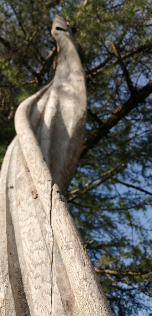 Oak Spiral-helical Staircase (16th)-photo-3