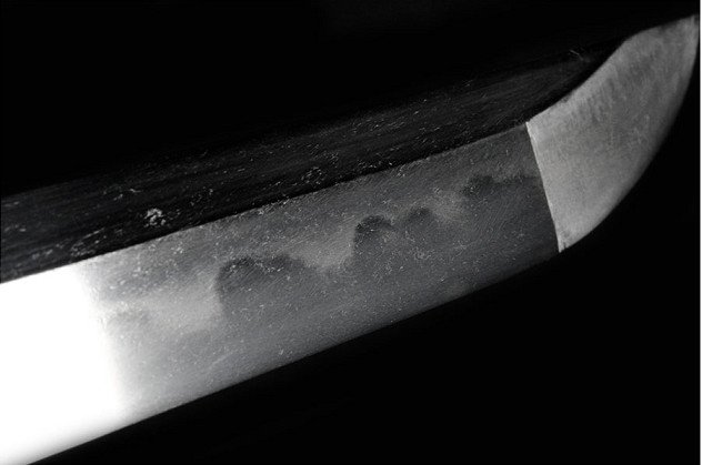 Magnifique Wakizashi Shin-shinto  -  NTHK-NPO  -  Zaimei Sukesada  -  Bunka- Bunsei -photo-2