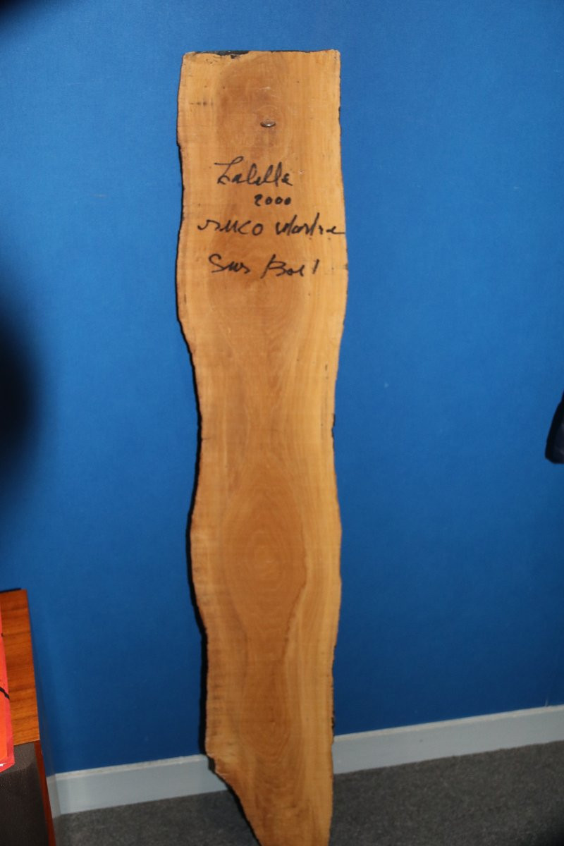 Andre Labelle "martien " sur bois brut-photo-1
