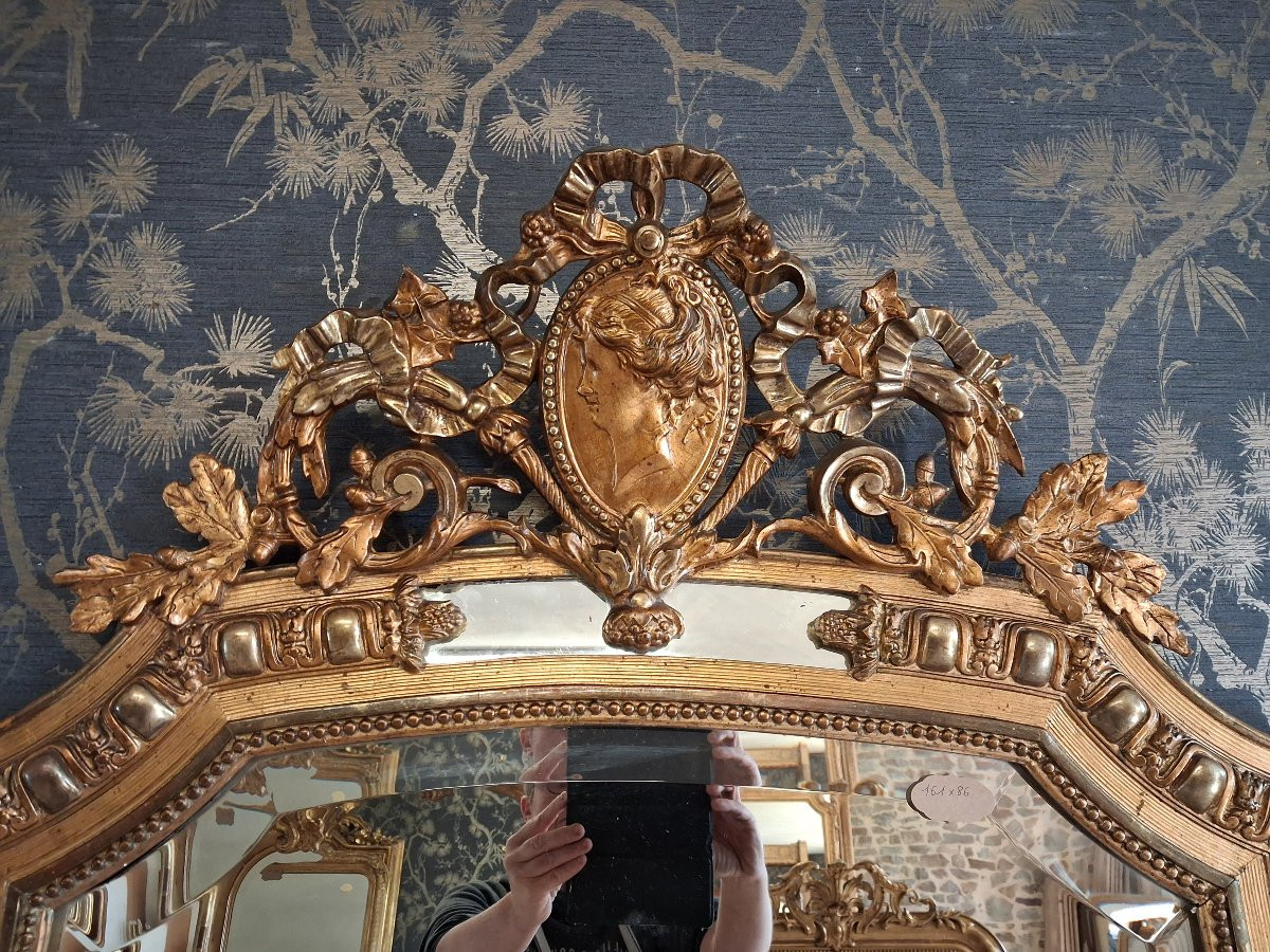 Mirror XIX Parecloses 161x 86-photo-4