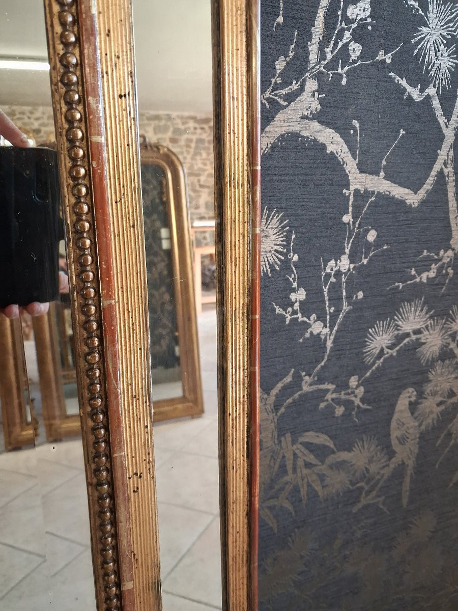 Mirror XIX Parecloses 161x 86-photo-6