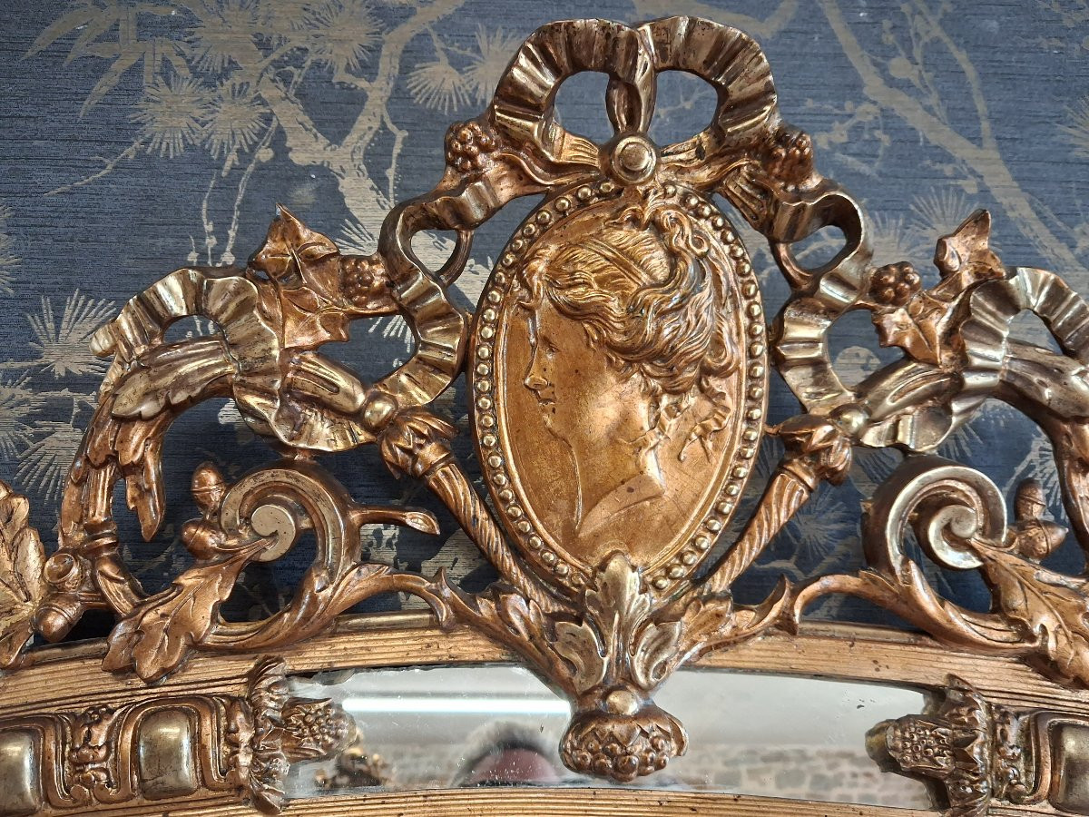 Mirror XIX Parecloses 161x 86-photo-7