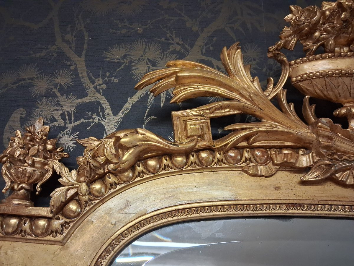 Miroir époque XIX 204 x 110-photo-2