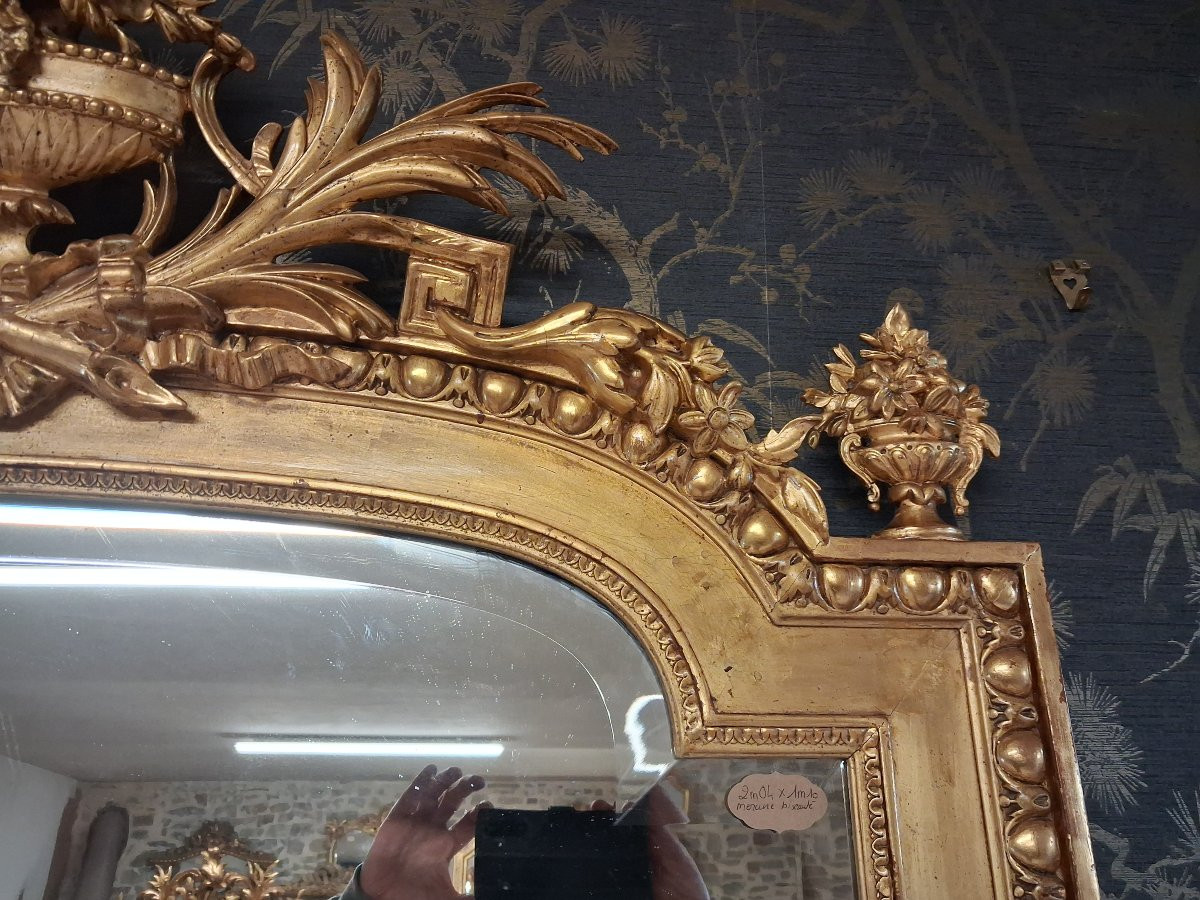 Miroir époque XIX 204 x 110-photo-7