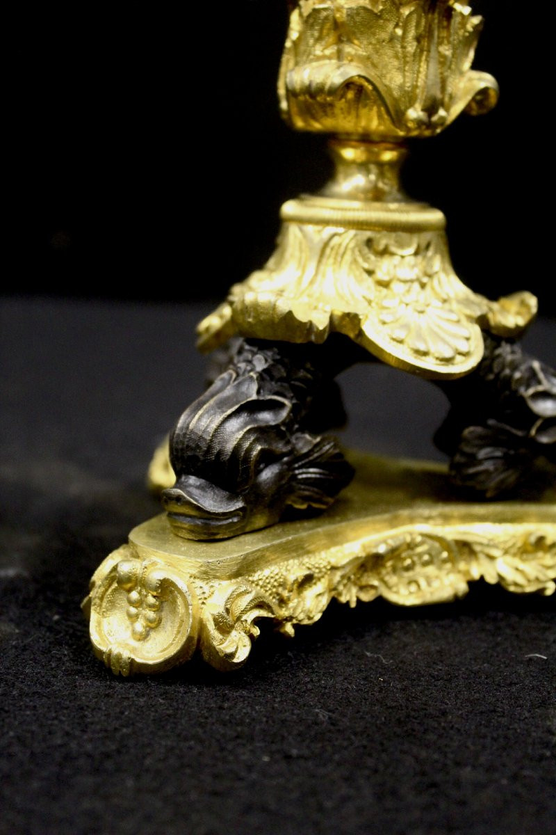 Pair Of Torches, Charles X, France 19th-photo-2