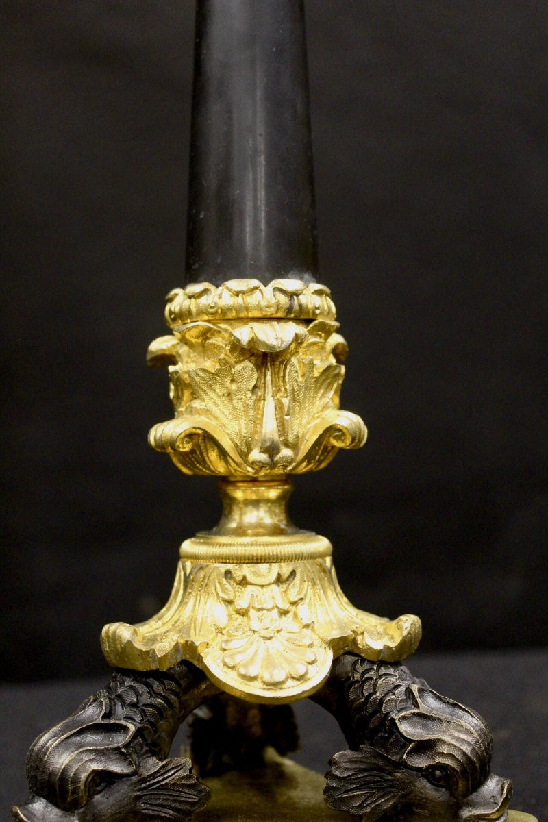 Pair Of Torches, Charles X, France 19th-photo-6