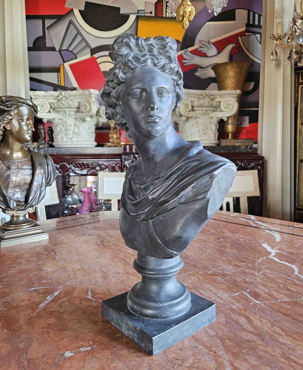 Buste Apollon Du Belvédère En Métal Patiné  XIXème-photo-3