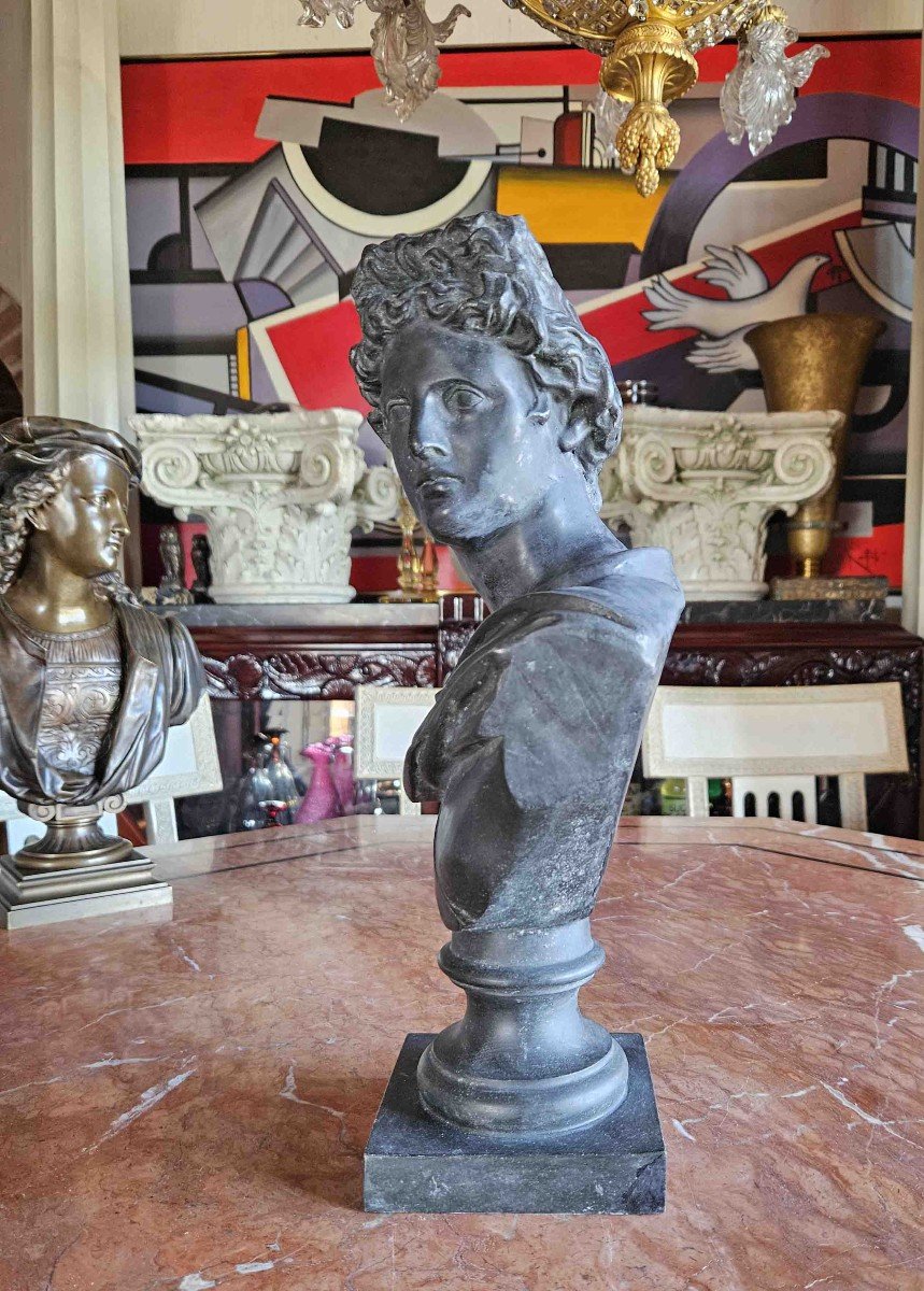 Buste Apollon Du Belvédère En Métal Patiné  XIXème-photo-1