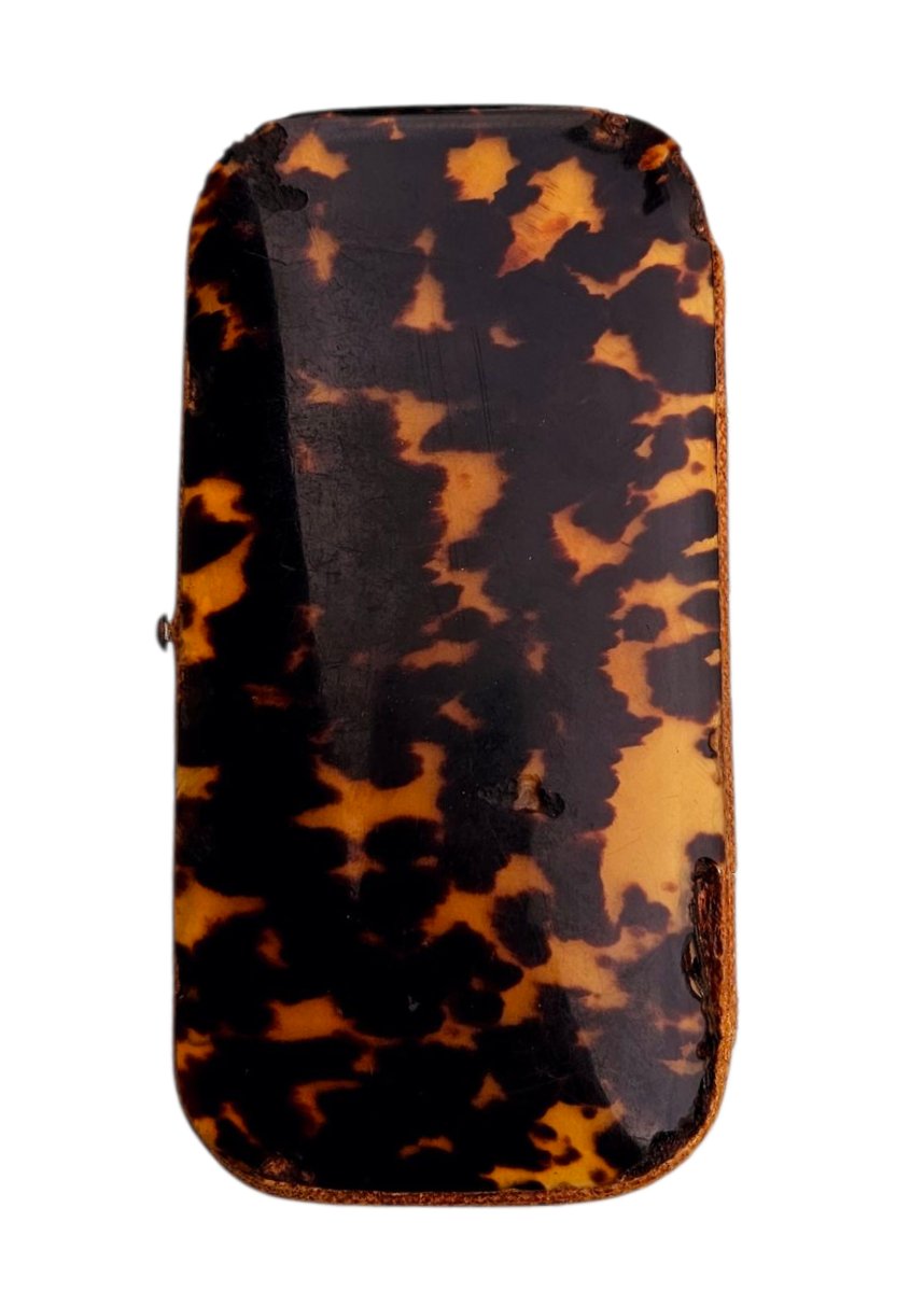 19th Century Gold-stitched Tortoiseshell Case -photo-4