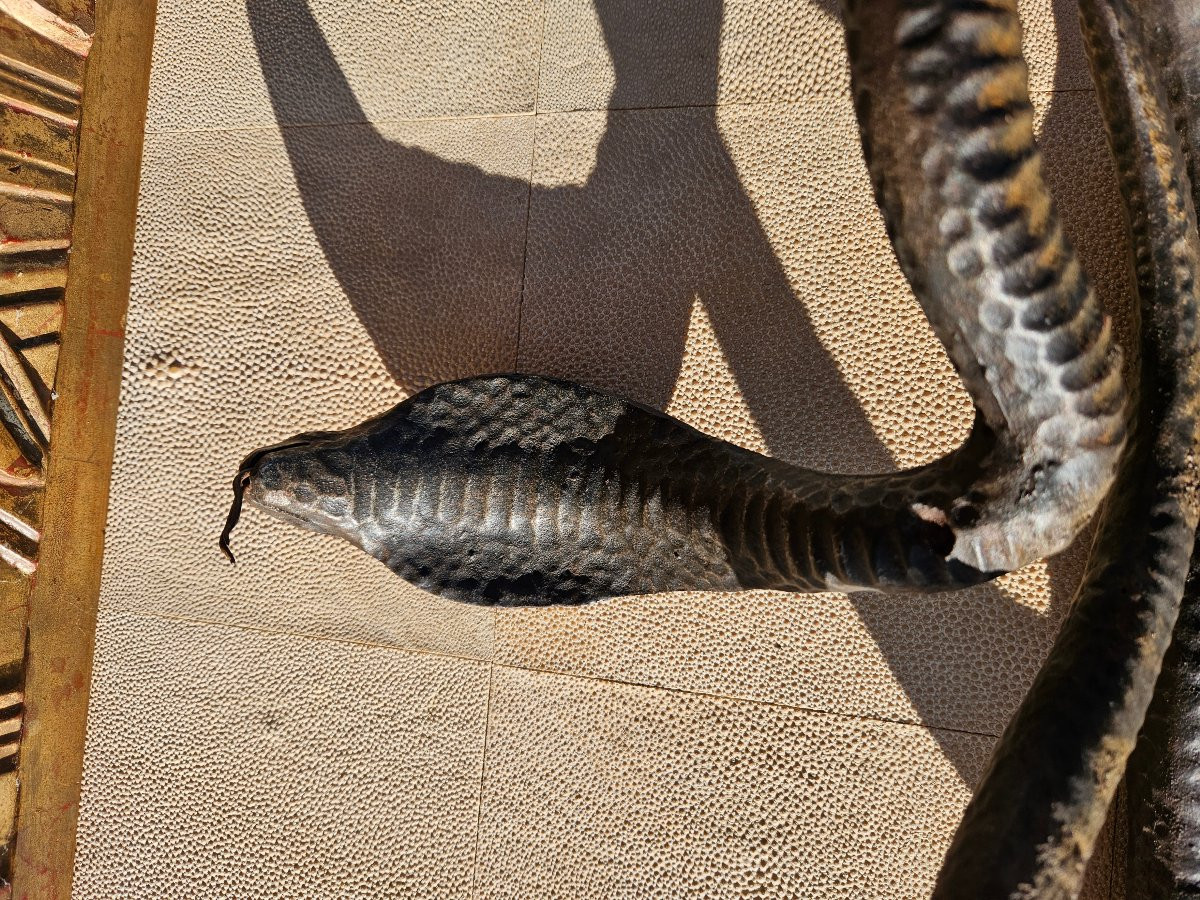 Sculpture Serpent fer forgé Art Déco-photo-1