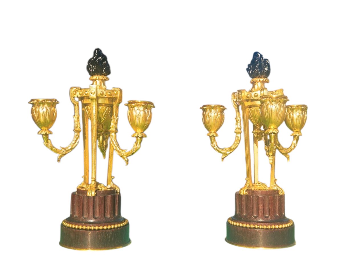 Athenian Ormolu And Amaranth Candelabra-photo-1