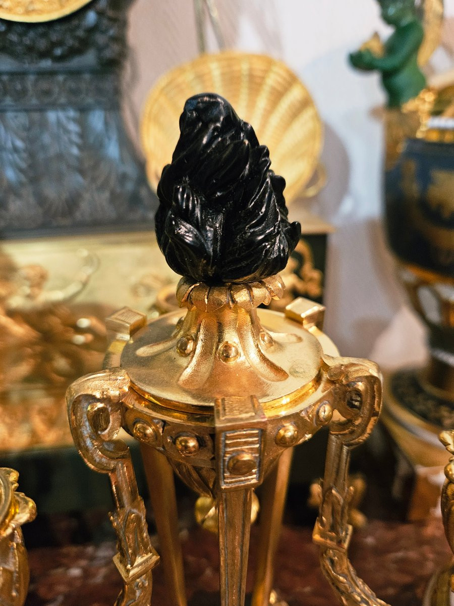 Athenian Ormolu And Amaranth Candelabra-photo-5