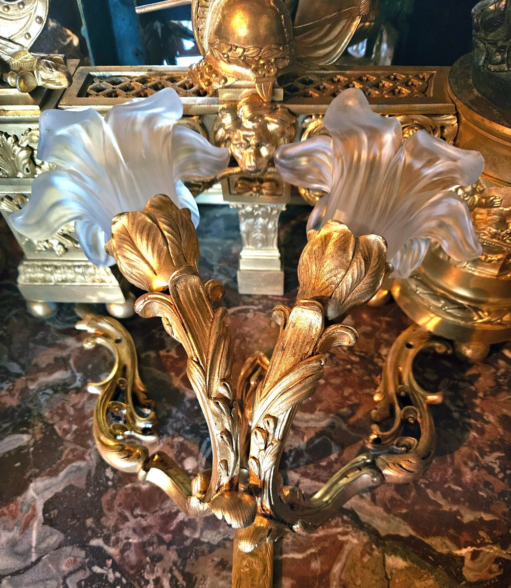 Pair Of Louis XV Style Gilt Bronze And Frosted Glass Sconces-photo-4