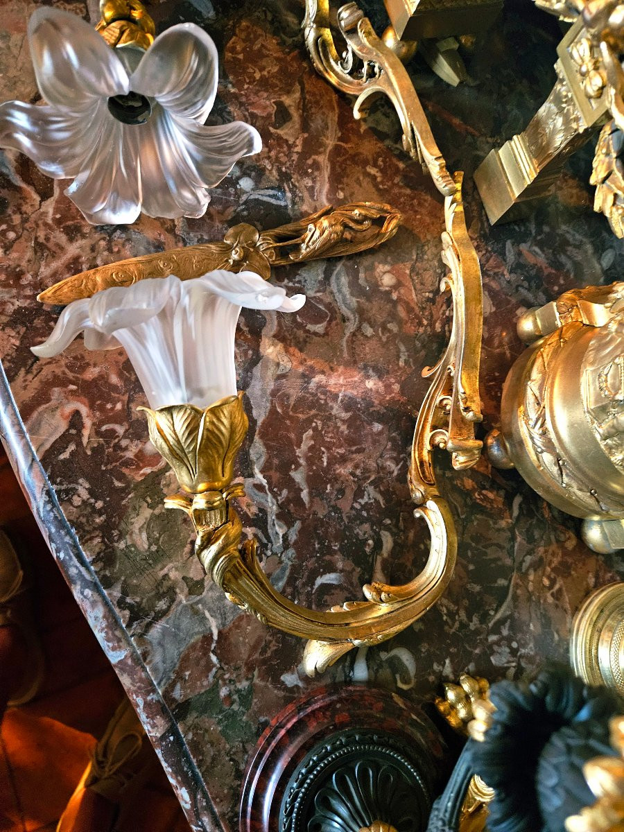 Pair Of Louis XV Style Gilt Bronze And Frosted Glass Sconces-photo-3
