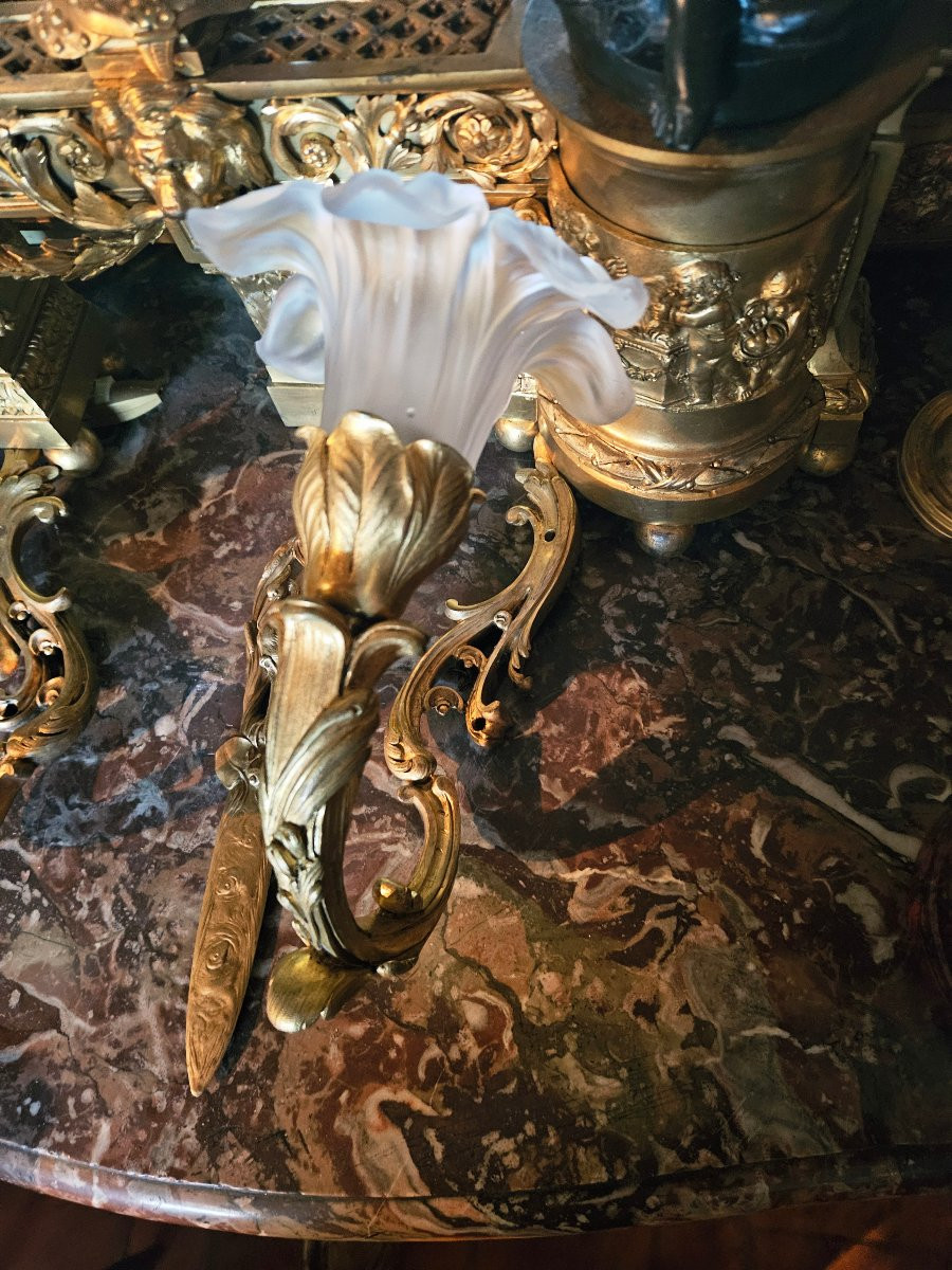 Pair Of Louis XV Style Gilt Bronze And Frosted Glass Sconces-photo-4