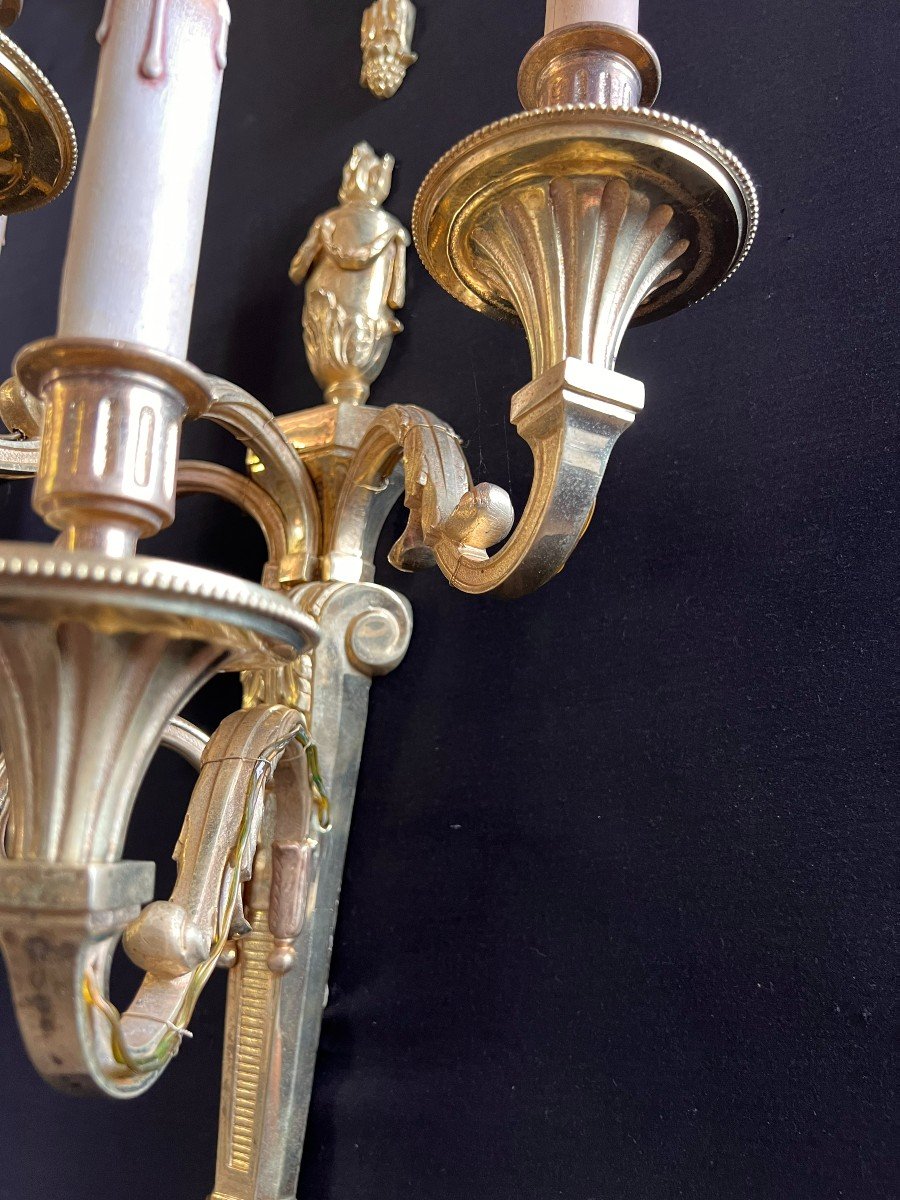  4 Grandes Appliques à 5 Lumières En Bronze Doré Par Lucien Gau  Louis XVI-photo-2