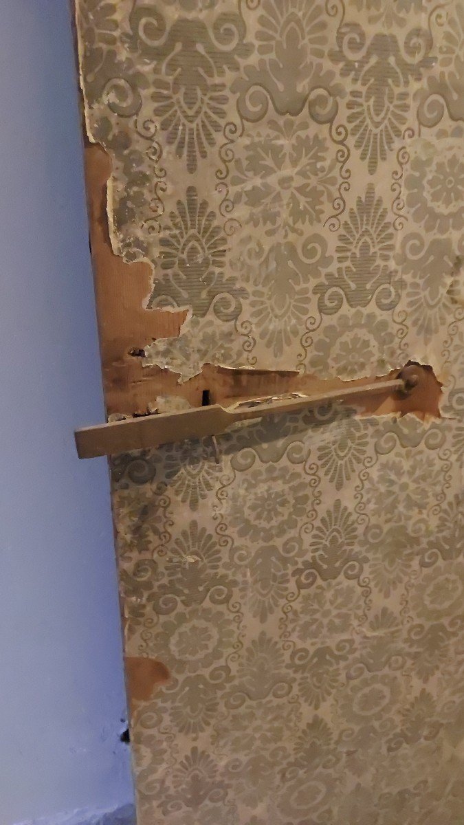 Porte Et Papier Peint Fin XVIIIe -photo-3